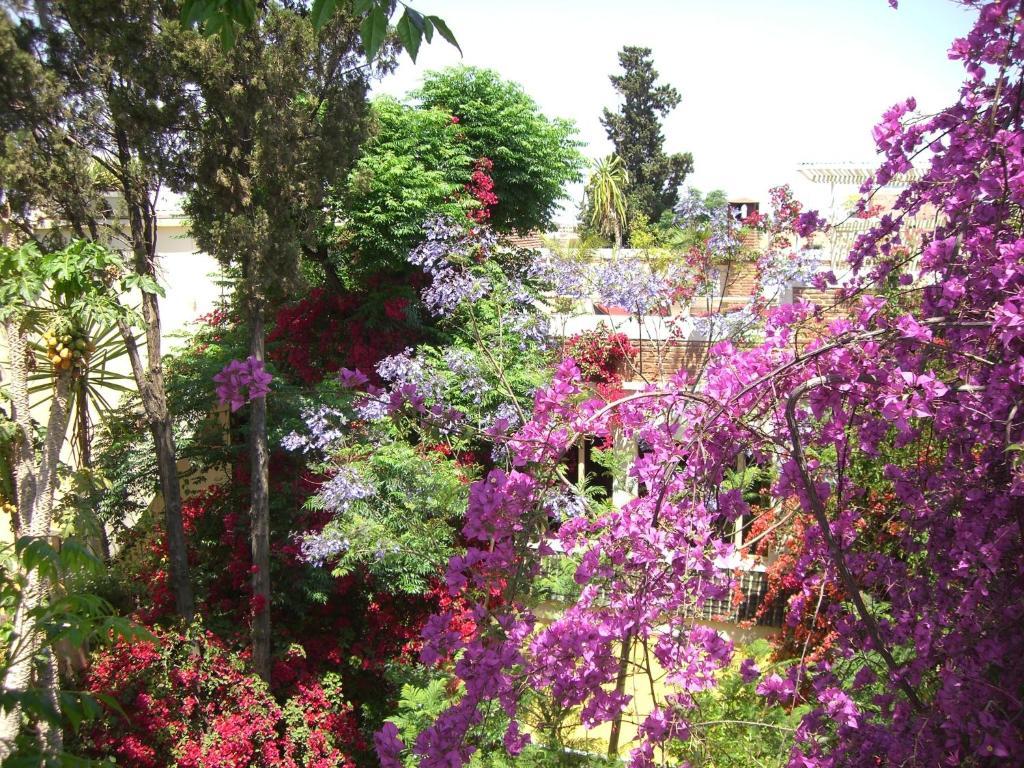 Riad Malika Marrakesh Esterno foto